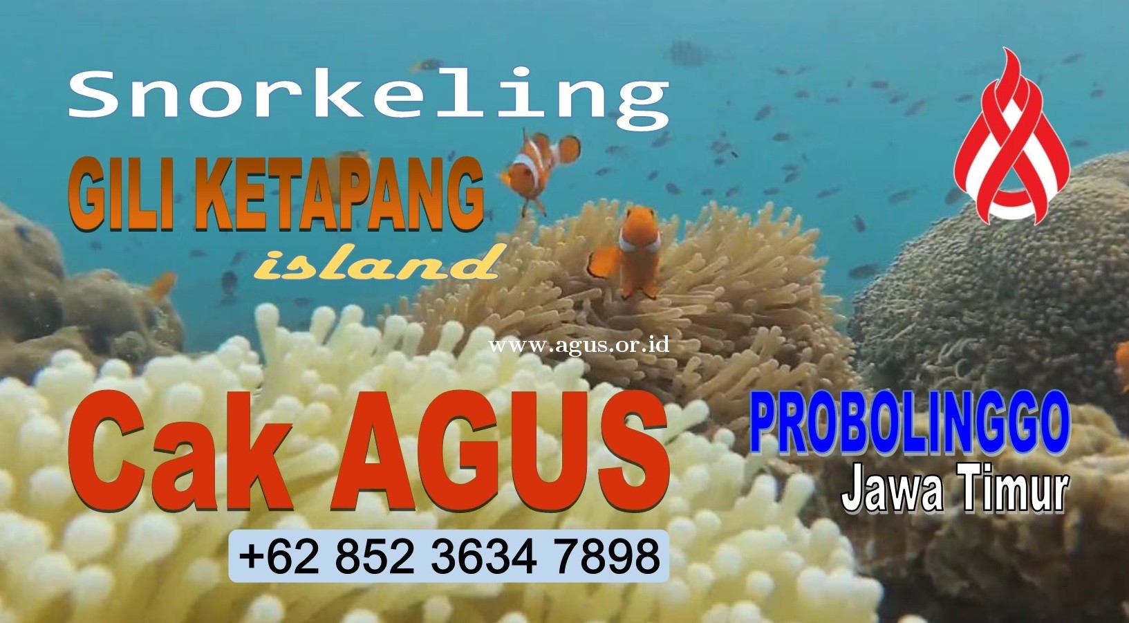 www.agus .or .id gus popo Snorkeling Probolinggo