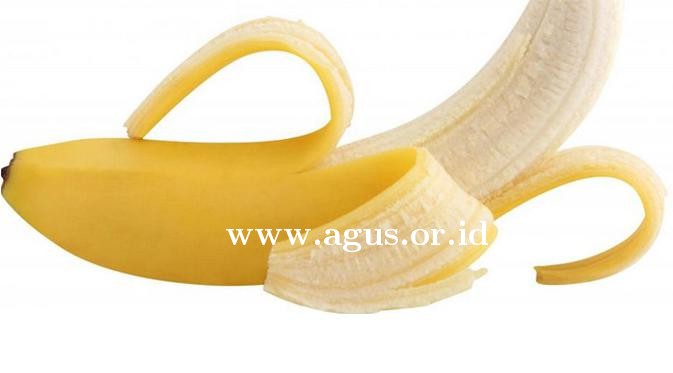 www.agus .or .id gus popo pisang