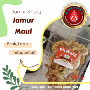 hgpi0W80.2022-01-23 21_34_24.030595 Jamur Maul
